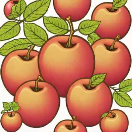 Xtrim Gala Apple Variety