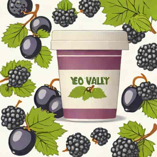 Yeo Valley Blackcurrant Yogurt