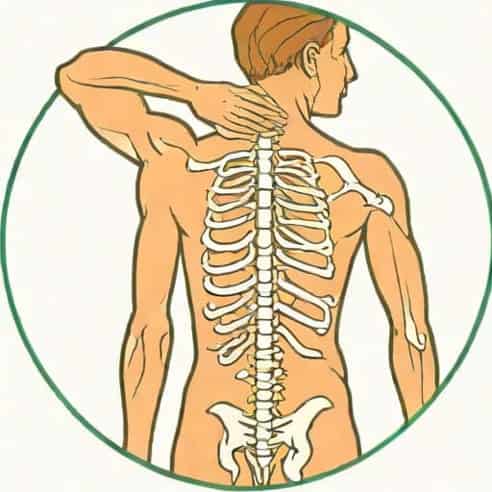 Can Scoliosis Be Fixed
