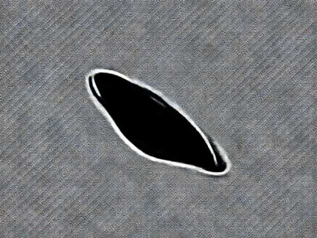 Can You Buy Baleen
