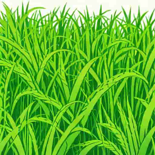 Dangers Of Overgrown Grass