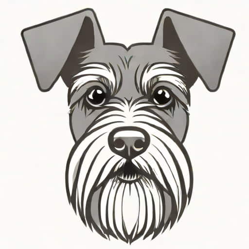 Edad De Schnauzer En Humano