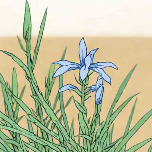 Eremophila Glabra Prostrate Blue Horizon