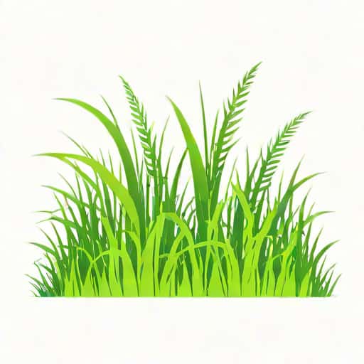 Grass Regenerate And Elongate By The Activity Of