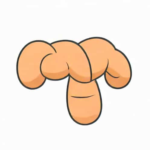 Is The Glottis A Muscle