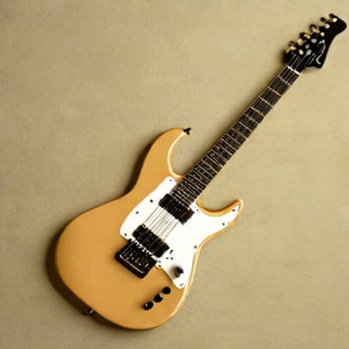 Jackson Js22 Whammy Bar