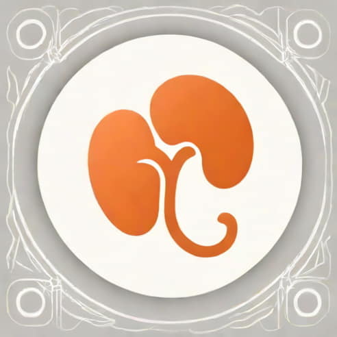 Kidney Is Responsible For