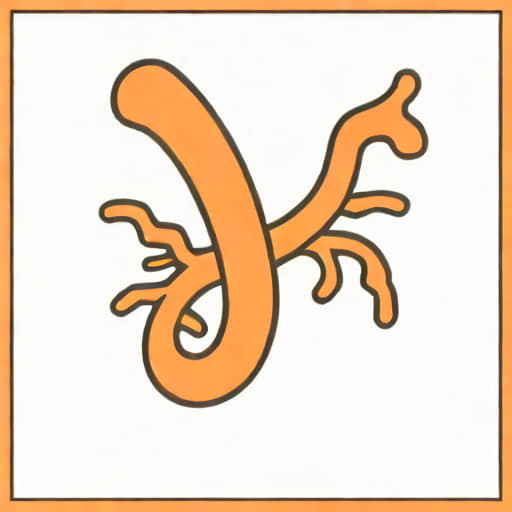 Left Superior Lobar Bronchus