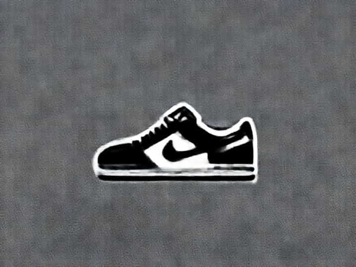 Low Disrupt 2 Dunks