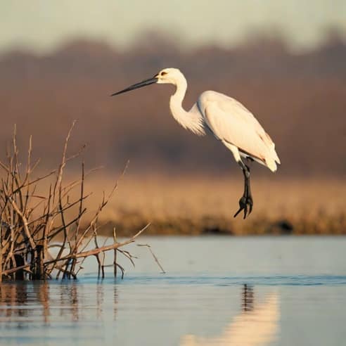 Oklahoma Spoonbill Fishing Report
