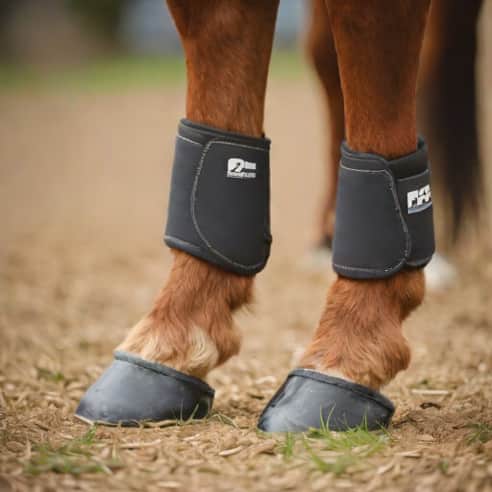 Premier Equine Fetlock Boots