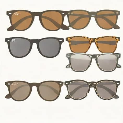 Ray Ban Erika Polarized