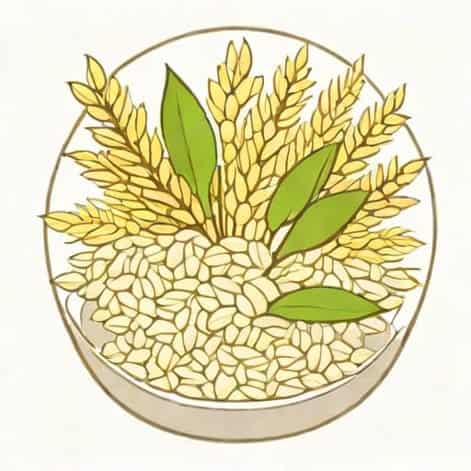 Saccharomyces Rice Ferment Filtrate