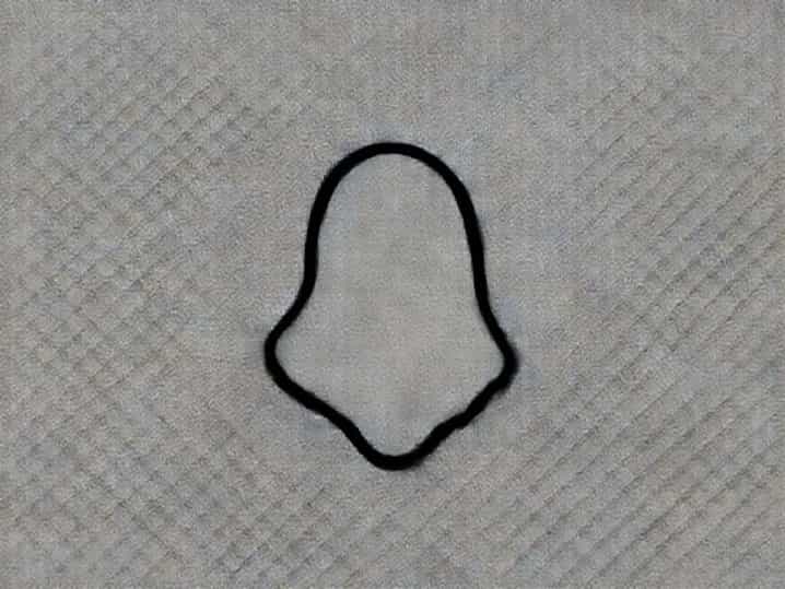 Why Is Amoeba Shapeless
