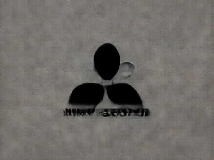 Www Aspca Org Nyc