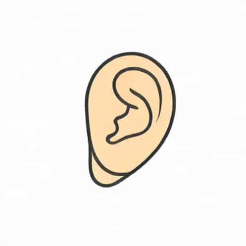 A Ear Or An Ear2/2
