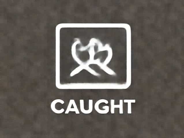 Another Word For Caught