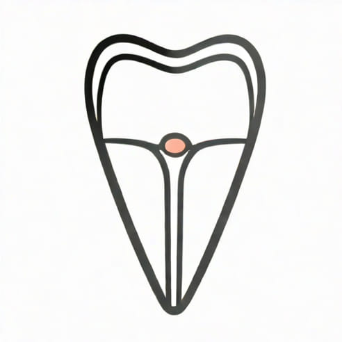 Deep Transverse Perineal M