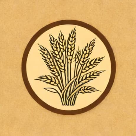 Is Superfine Wheat Flour Maida