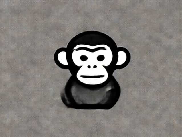 Kaka Monkey And Diem