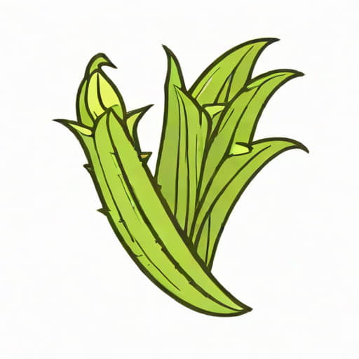 Okra Remove Stickiness
