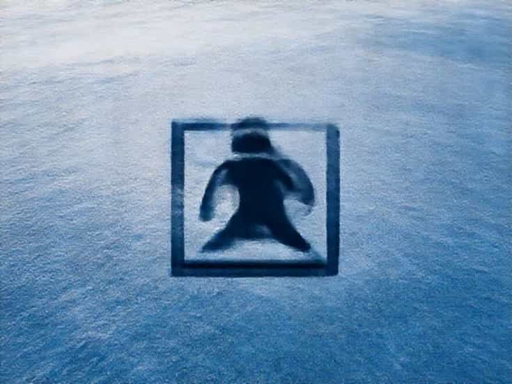 On Frozen Fields Dismember