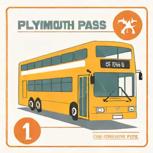 Plymouth Concessionary Bus Pass