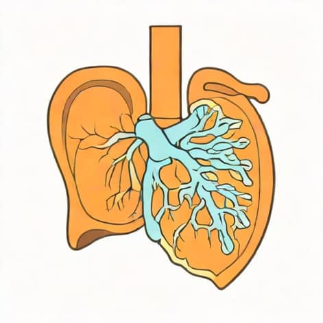 Right Apical Pleural Thickening