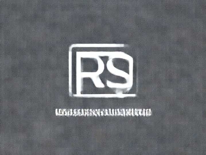 Rs Logistical Solutions Ltd