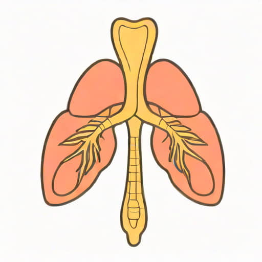The Role Of Epiglottis