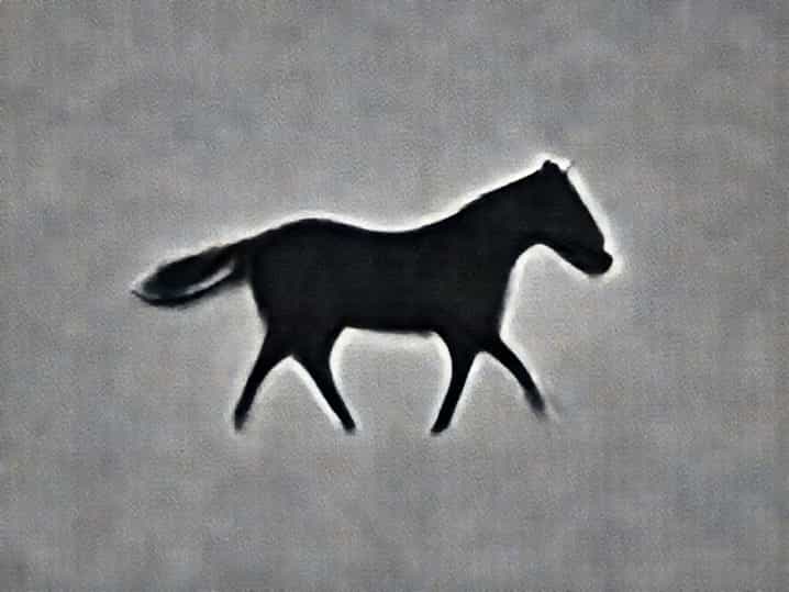 Think About It Racehorse