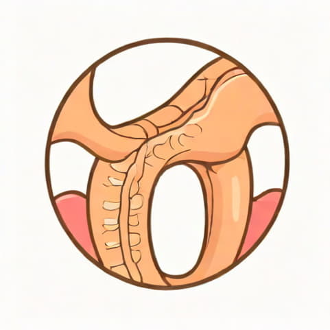 Treatment For Anal Fissure