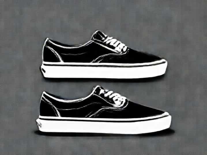 Vans Distort And Disrupt