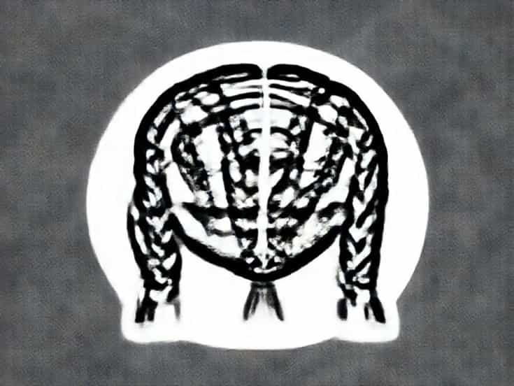 What Are Cornrow Braids