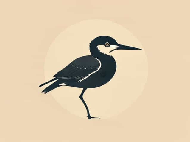 What Is A Roseate Tern