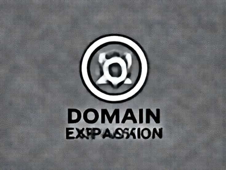 What Is Domain Expansion