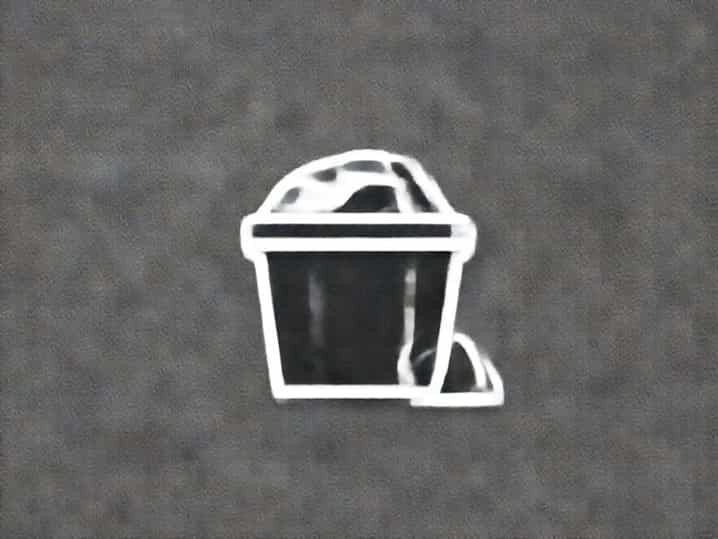 What Is Dumpster Diving