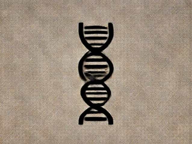 Zagros Neolithic Farmer Dna