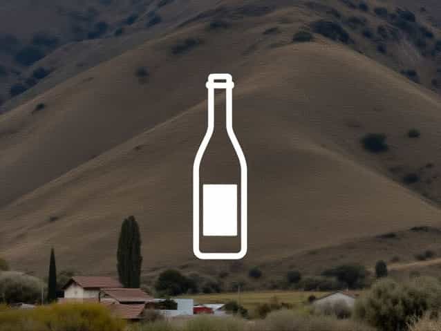 Auberge Du Vin Tupungato