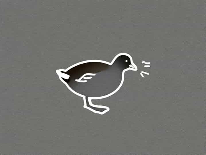 Can You Shoot Moorhens