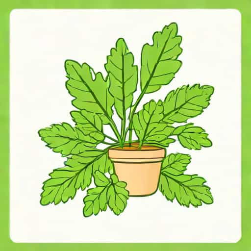Cilantro Taste Like Soap