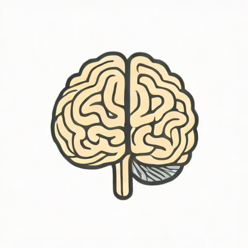 Corteccia Cerebellare E Cerebrale