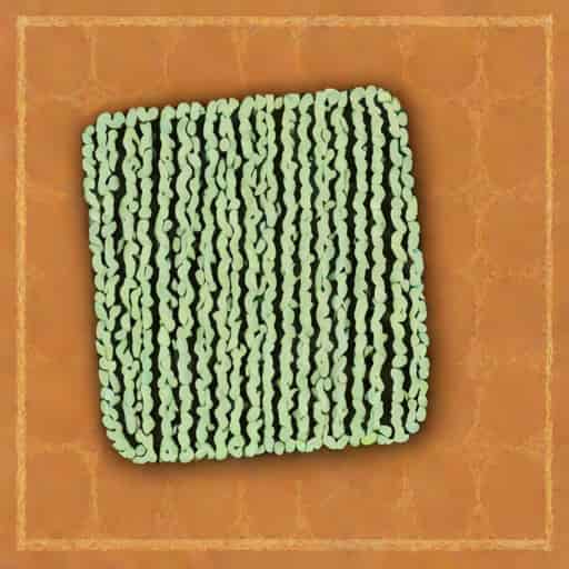 Dishcloth Knitting Pattern