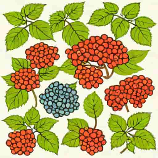 Fragrant Viburnum Varieties