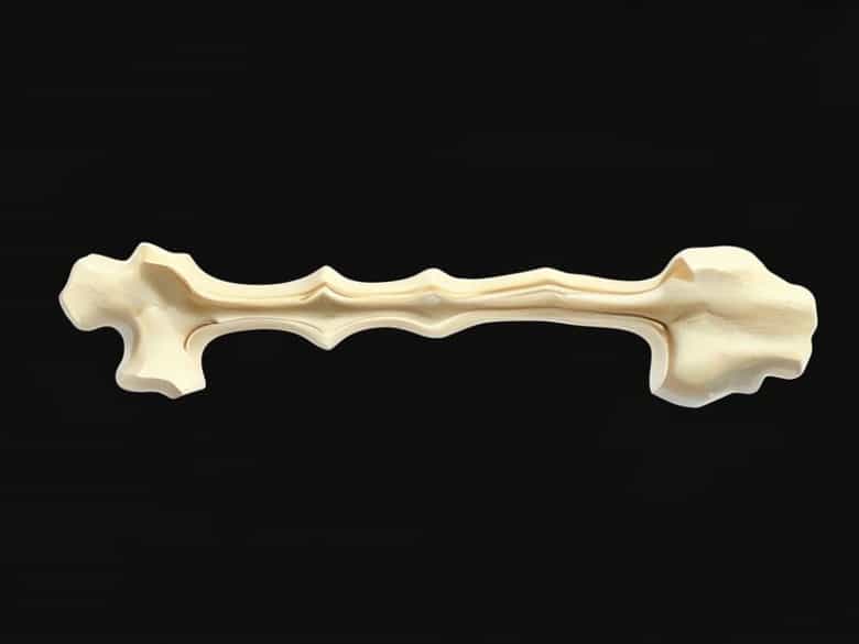 Groove Or Furrow In A Bone