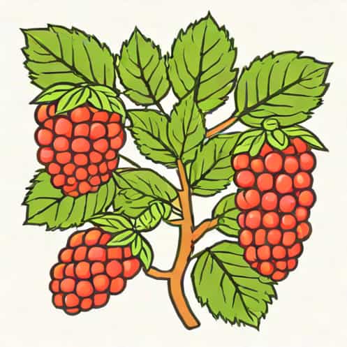 How Do You Spell Loganberry