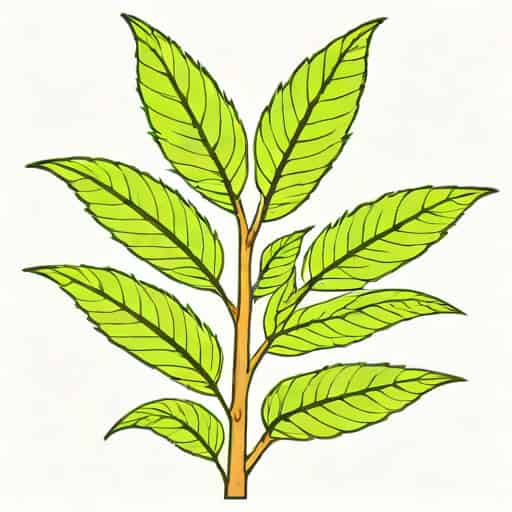 Japanese Knotweed Misrepresentation Claim