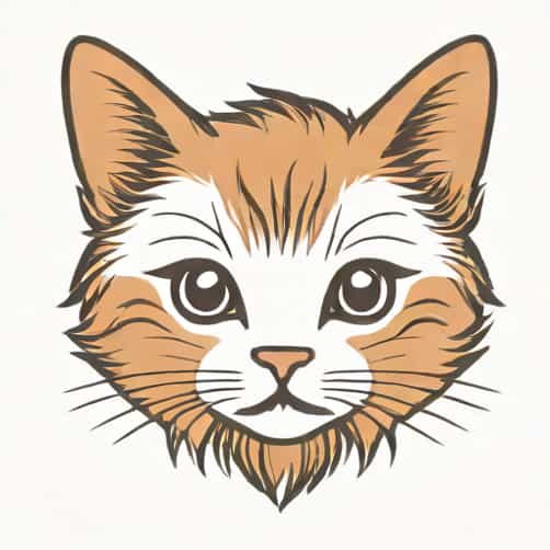 Kitten With Wiry Fur