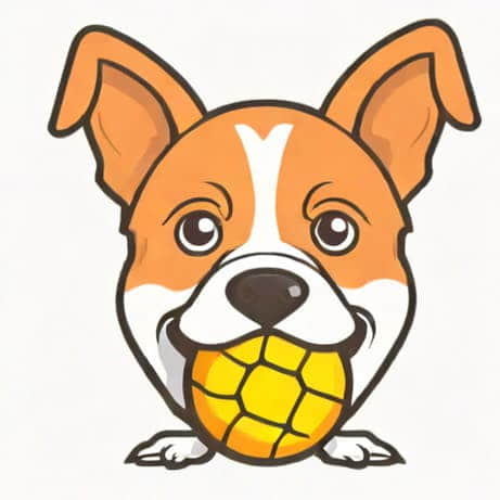 Nerf Dog Squeaker Ball Small