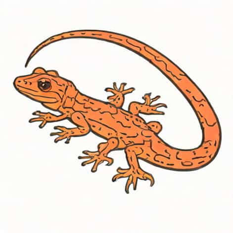 Red Legged Webfoot Salamander